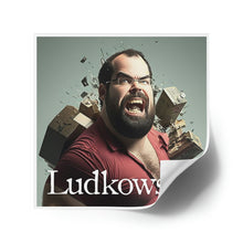 Load image into Gallery viewer, Ludkowsky Laminate Stickers, Square